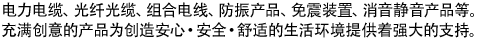 电力电缆、光纤光缆、组合电线、防振产品、免震装置、消音静音产品等。充满创意的产品为创造安心·安全·舒适的生活环境提供着强大的支持。